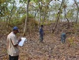 Projet Forêts Classées
