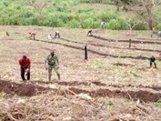 Projet Forêt Pénéssoulou